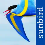 All Birds Sweden - Photo Guide App Support