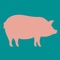Instead of eyeballing your hogs and wondering whether they’re ready for market try this simple App for estimating weight