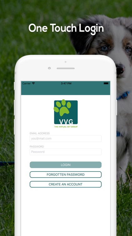 The VVG (Virtual Vet Group)
