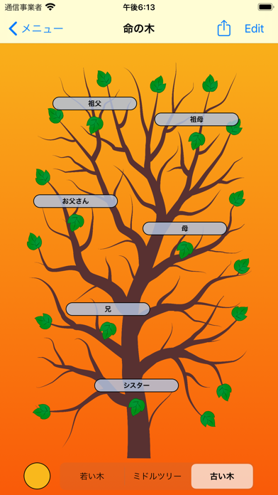 生命の木-家系図のおすすめ画像8
