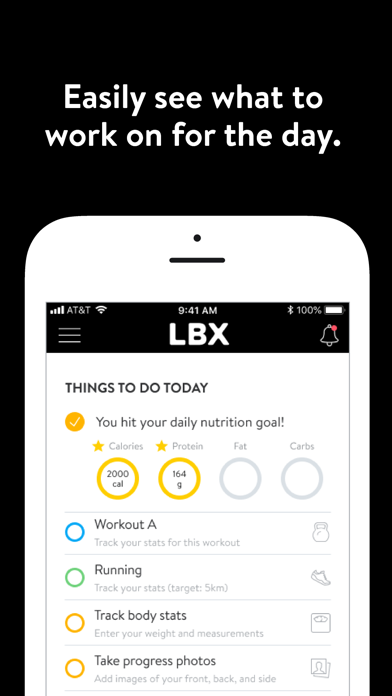 LBX by Lee Brothers MMA Screenshot
