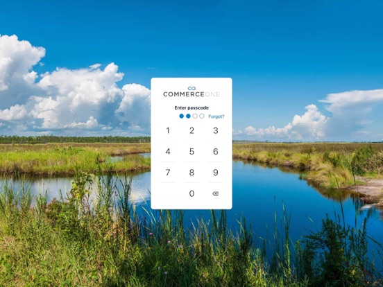 CommerceOne Bank iPad screenshot 2 - Finance app