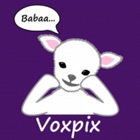 Top 10 Education Apps Like Voxpix - Best Alternatives