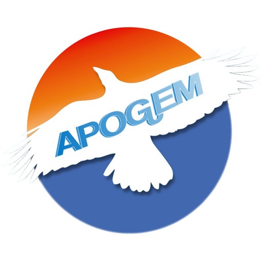 Apogem Chauffeurs Passenger