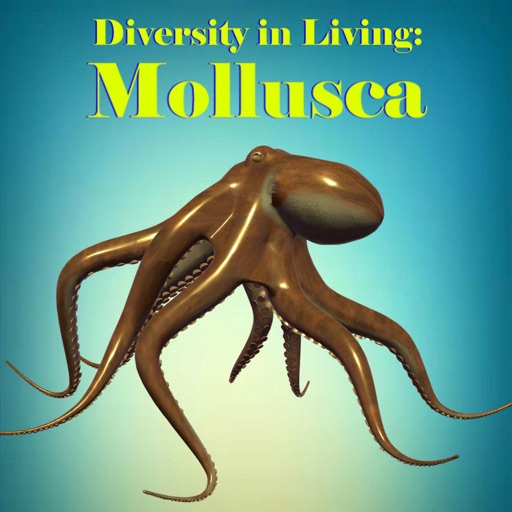 Diversity in Living: Mollusca icon