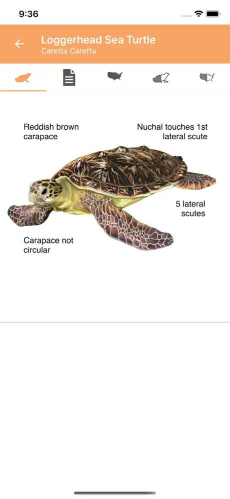 Reptiles & Amphibians of NA