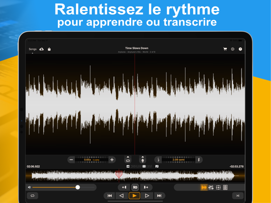 Screenshot #4 pour Anytune Pro