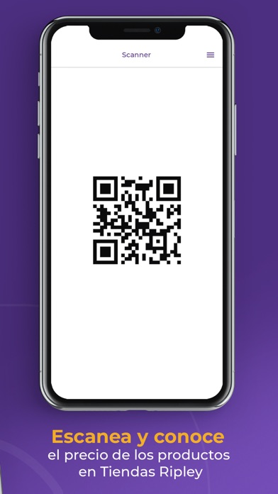 Banco Ripley Chile Screenshot