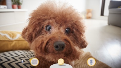 Screenshot #3 pour Caméra pour chien par Tomofun