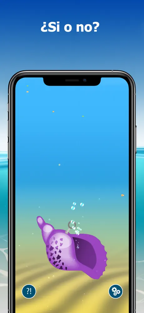 The Conch Shell: Magic answers