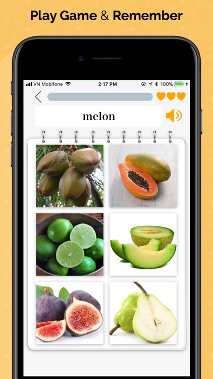 Vocabulary builder: Vocab Word