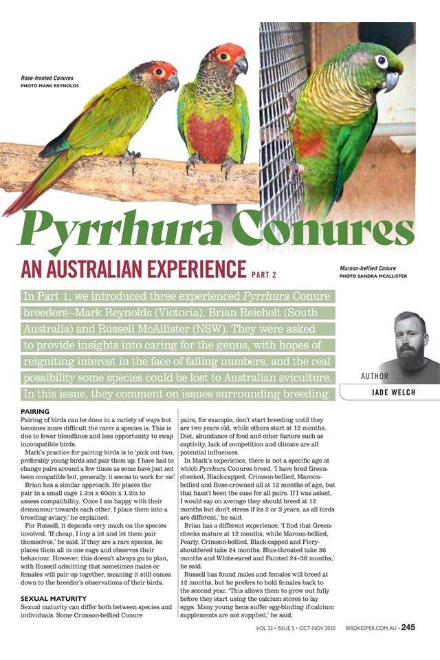 Australian BirdKeeper Magazine screenshot 3