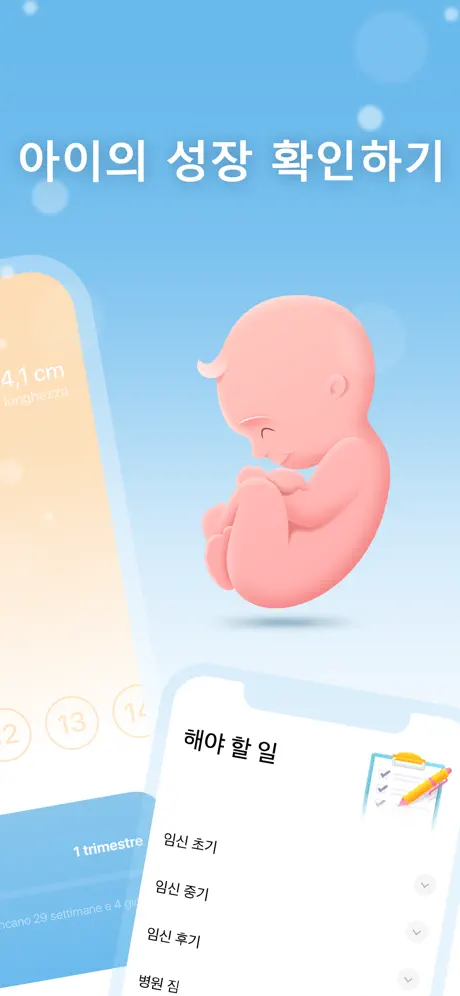 나의 임신 - 임신 주수