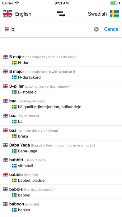 Swedish/English Dictionary Screenshot