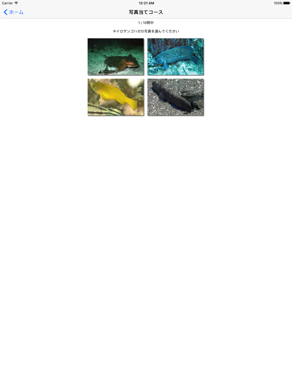 南国魚ガイド(1700種類の魚図鑑)のおすすめ画像5
