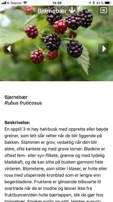 Spiselige vekster i naturen Screenshot