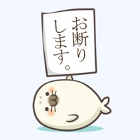 Cute Baby Harbor seal !! PC 용