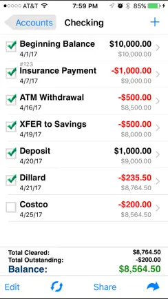 Accounts 2 Checkbook iPhone image 3