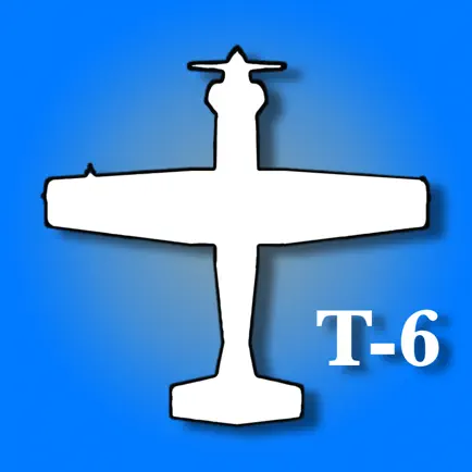 T-6 Electrical System Читы