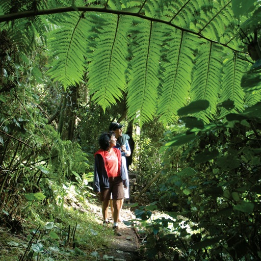 Norfolk Island NP Visitors