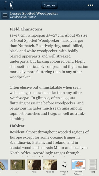 Birds of Northern Europe screenshot-4