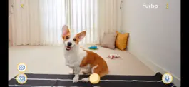 Game screenshot Dog Camera by Tomofun hack
