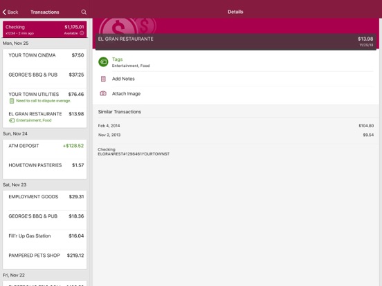 My First Bank Mobile iPad screenshot 1 - Finance app