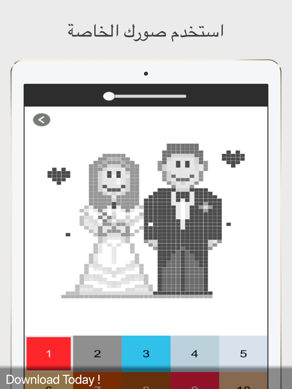 Pixel Art | Coloring by Number iPad screenshot
