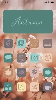 theme smith - widgets & icons iphone screenshot 3