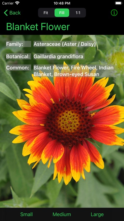 Flower Ref screenshot-4