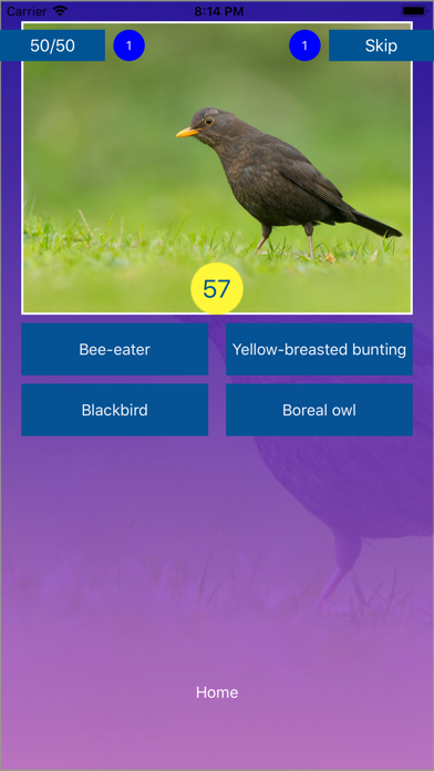 Bird Quiz - Name the Bird! Screenshot