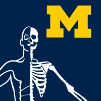 MSK Anatomy  logo