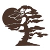BFG Family CFO icon