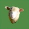 Icon Flocky Count Your Sheep