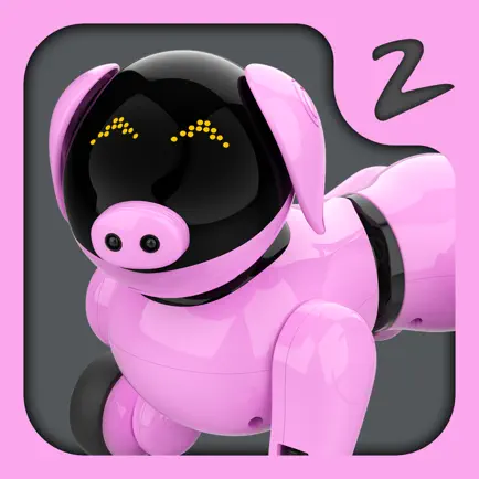 可琪2 Читы