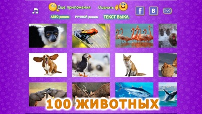 Screenshot #3 pour Животные для детей и малышей 2