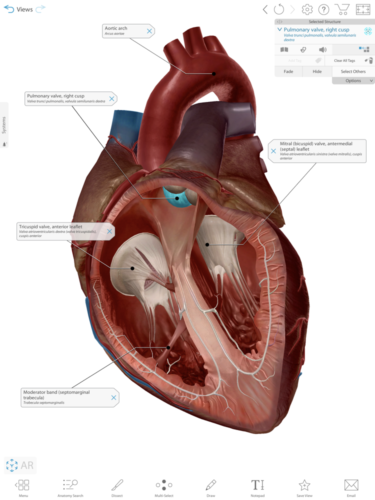 Human Anatomy Atlas 2021 App for iPhone - Free Download Human Anatomy