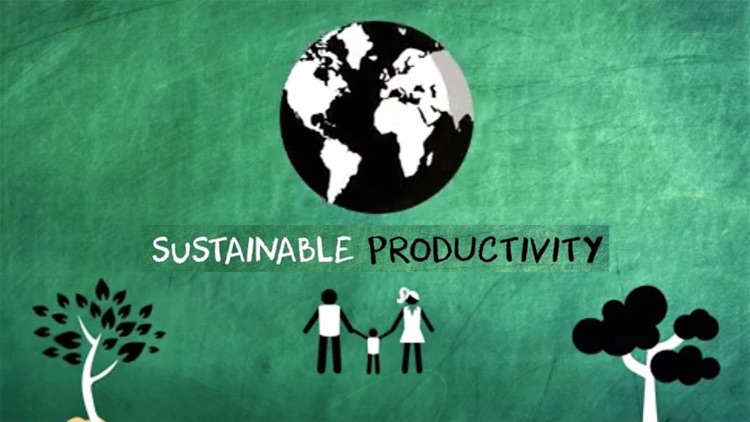 Sustainable Productivity