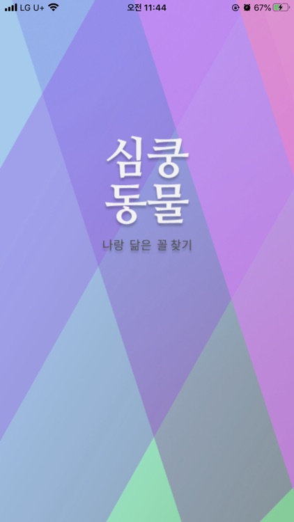 심쿵동물