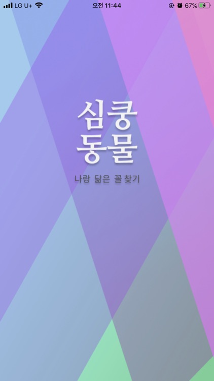 심쿵동물