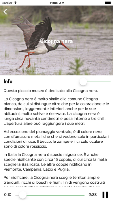 Orto delle Clarisse Screenshot