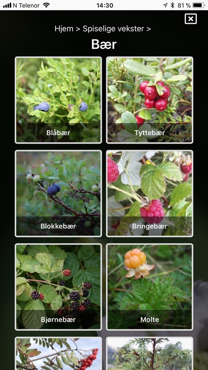 Spiselige vekster i naturen