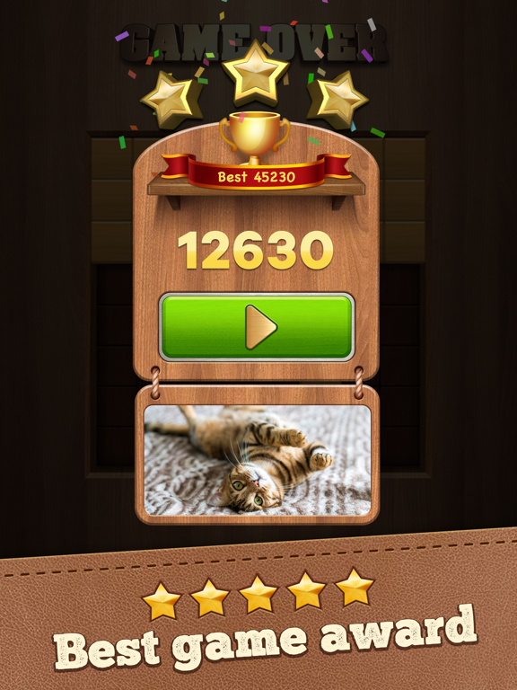 Screenshot #5 pour Woody Cube 3D Block Puzzle