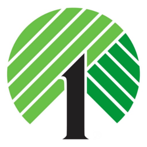 Dollar Tree : Store & More