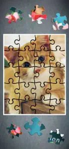 Jigsaw Puzzle Magic HD screenshot #2 for iPhone