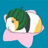 Guineapig-collection App Feedback