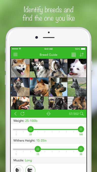 iKnow Dogs: 识别犬种 screenshot