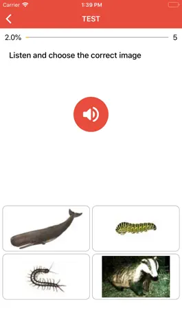 Game screenshot Beginner German - Smart Choice hack