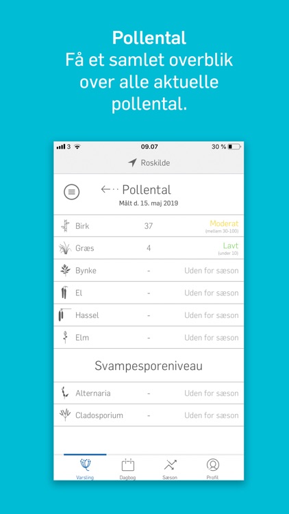 Dagens Pollental screenshot-6