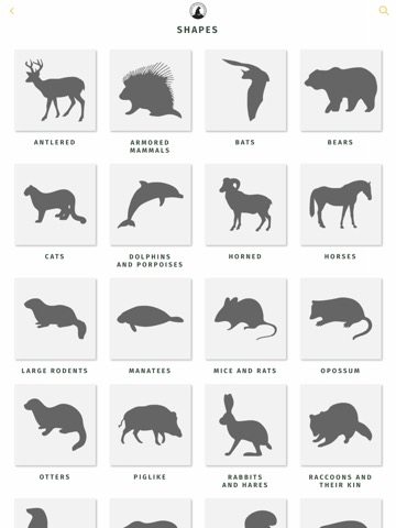 NWF Guide to Mammalsのおすすめ画像6